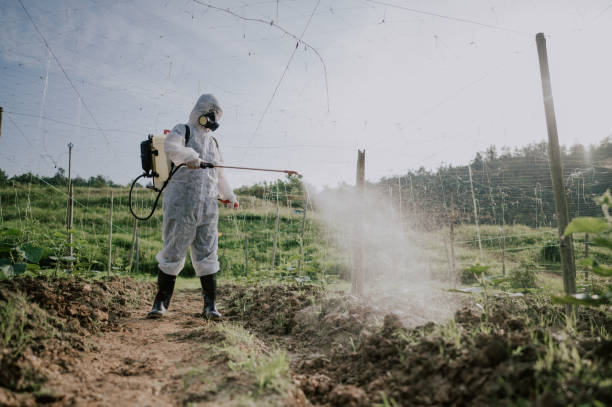 Pest Prevention Services in Cadott, WI