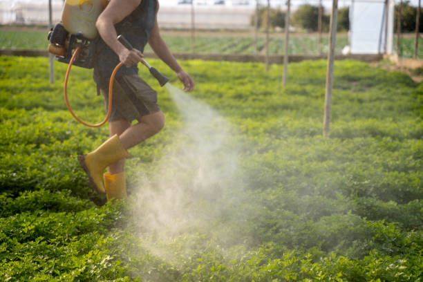 Flea Control Services in Cadott, WI