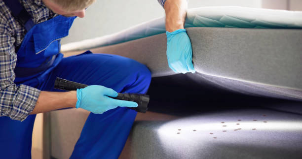 Best Emergency Pest Control  in Cadott, WI